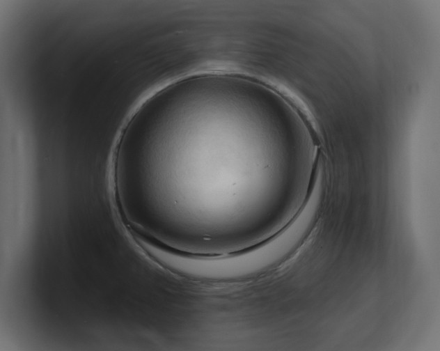 X0000101091382200806261442