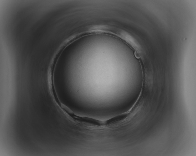 X0000101091384200806261442