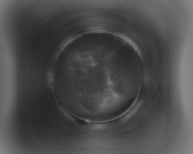 X0000101091385200806261442