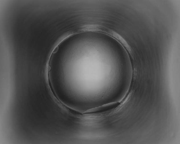 X0000101091386200806261442