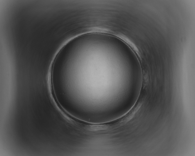 X0000101091391200806261442