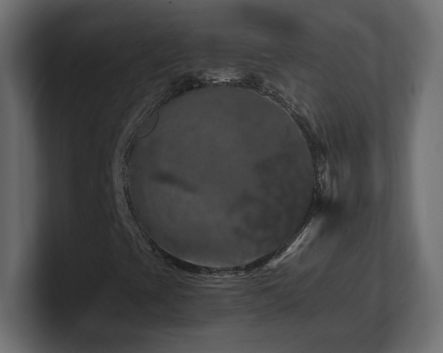 X0000101091393200806261441