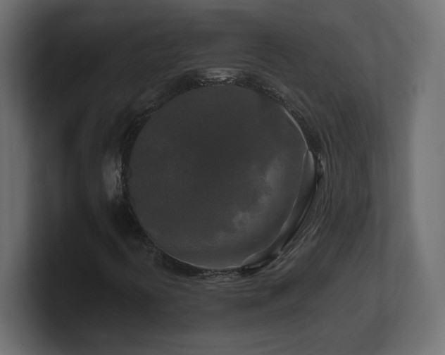 X0000101091394200806261441