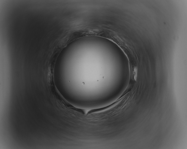 X0000101091395200806261441