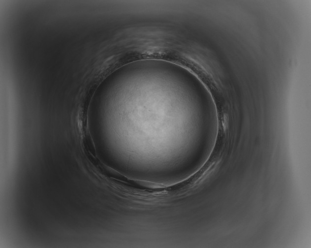 X0000101091396200806261441