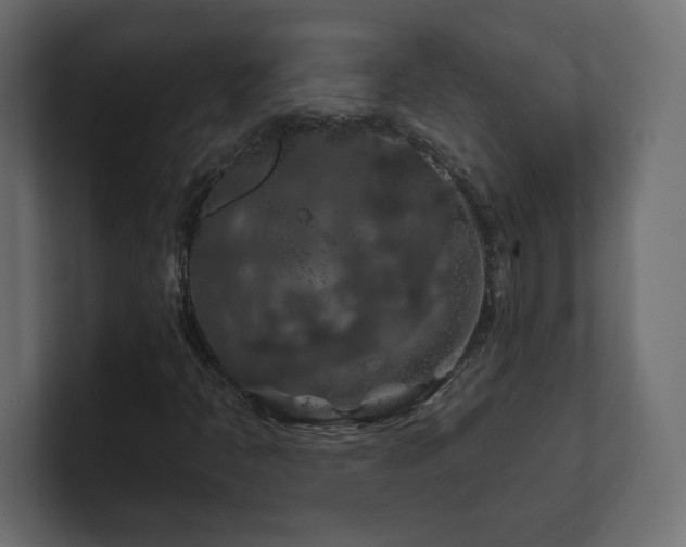 X0000101091397200806261441