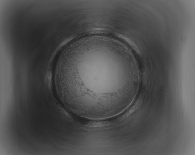 X0000101091402200806261441