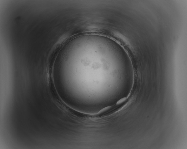 X0000101091403200806261441