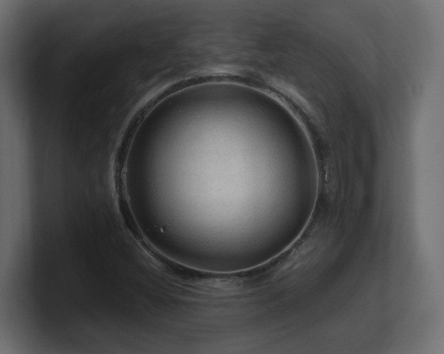 X0000101091404200806261441