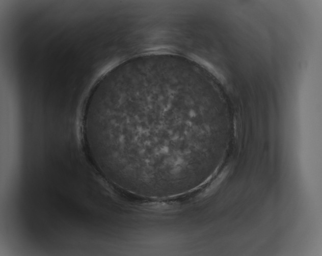 X0000101091405200806261441