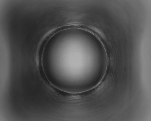 X0000101091406200806261441