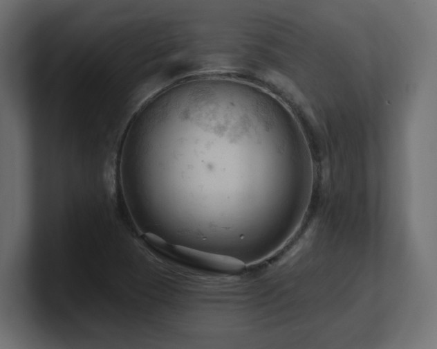 X0000101091409200806261441