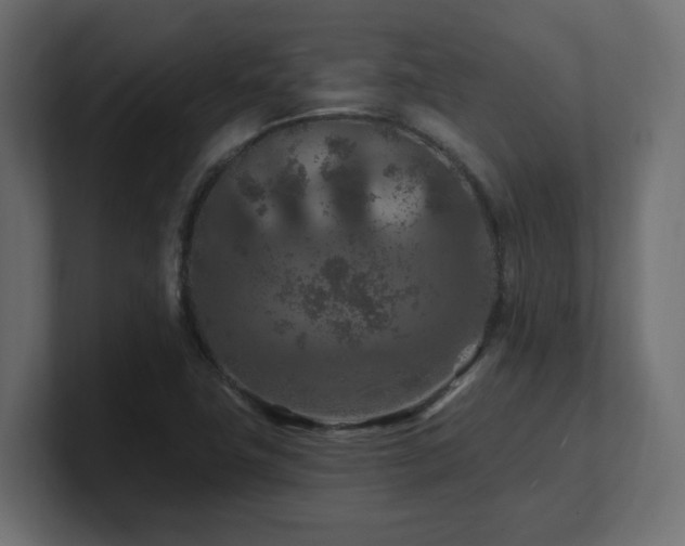 X0000101091411200806261441