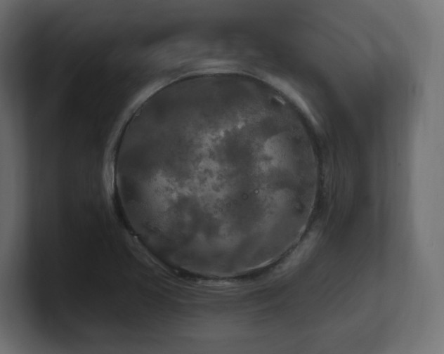 X0000101091413200806261441