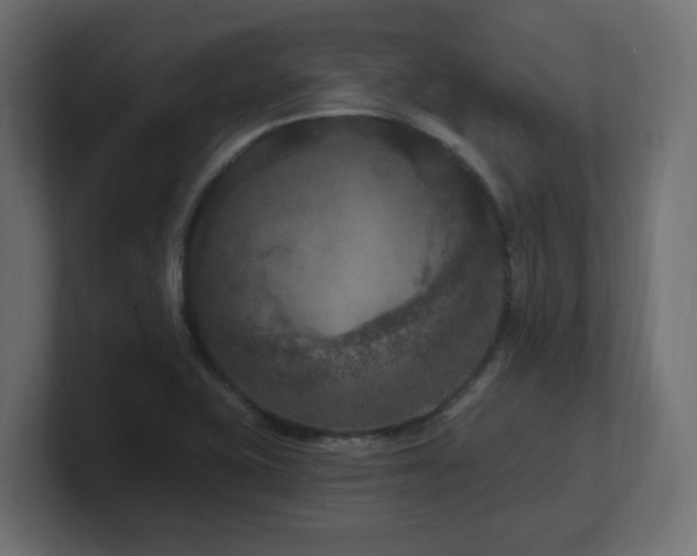 X0000101091415200806261441