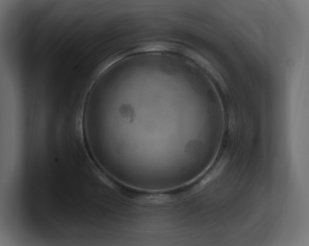 X0000101091417200806261441