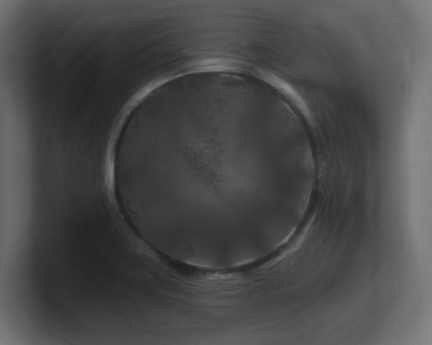 X0000101091419200806261441