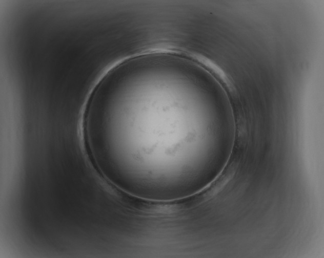 X0000101091423200806261441