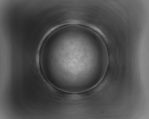 X0000101091424200806261441