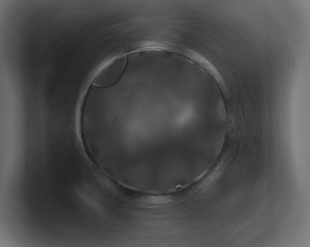 X0000101091427200806261441