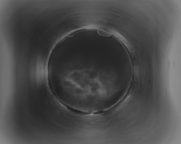 X0000101091428200806261441