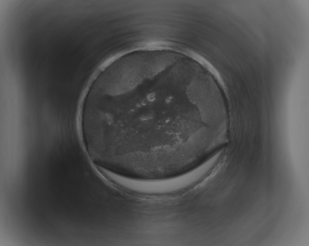 X0000101091429200806261441