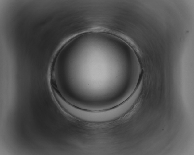 X0000101091430200806261442