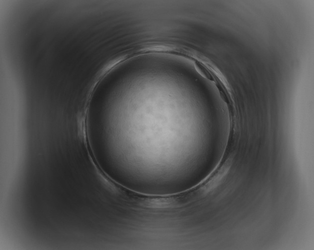 X0000101091433200806261442