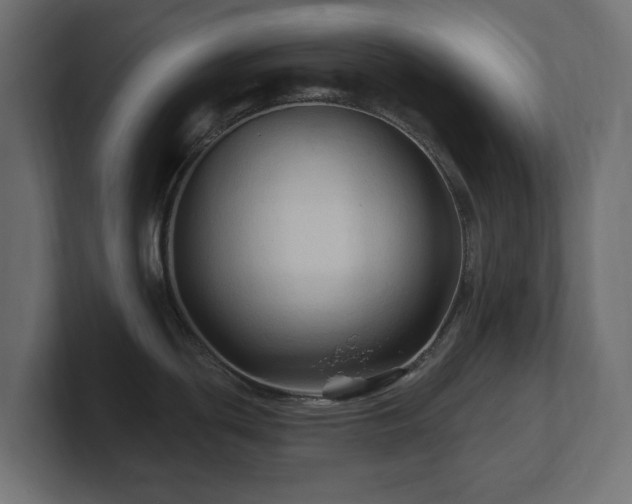 X0000101091439200806261442