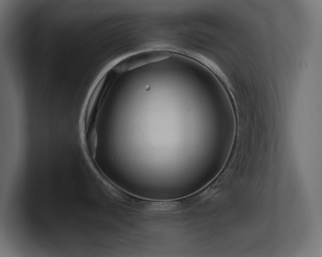 X0000101091440200806261442