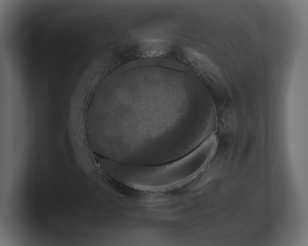 X0000101091441200806261441