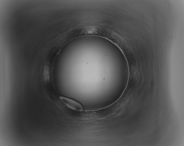 X0000101091442200806261441