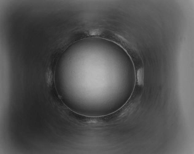 X0000101091443200806261441