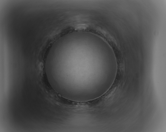 X0000101091445200806261441