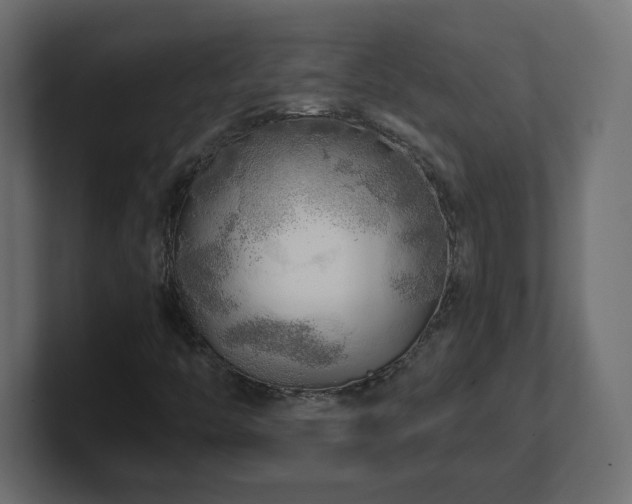 X0000101091446200806261441