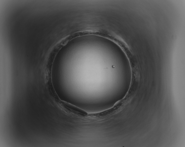 X0000101091448200806261441