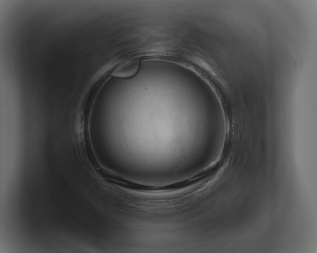 X0000101091450200806261441