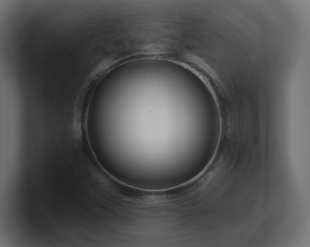 X0000101091451200806261441