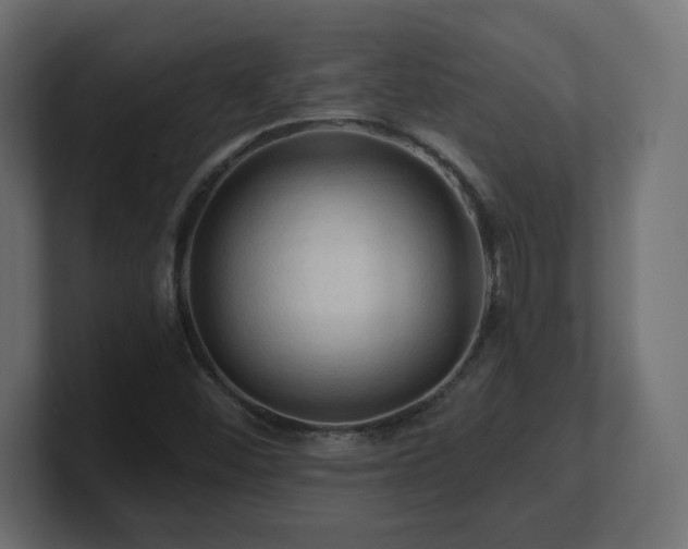 X0000101091452200806261441