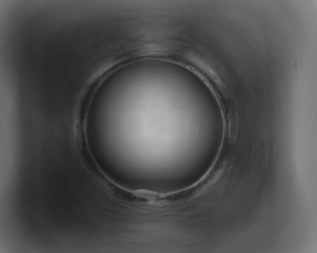 X0000101091453200806261441