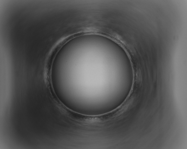 X0000101091454200806261441