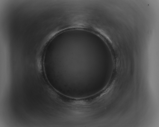 X0000101091455200806261441