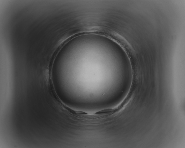 X0000101091457200806261441