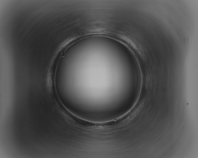 X0000101091458200806261441