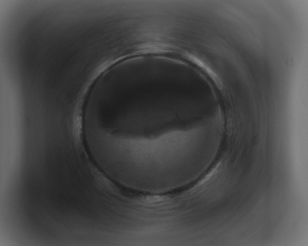 X0000101091459200806261441