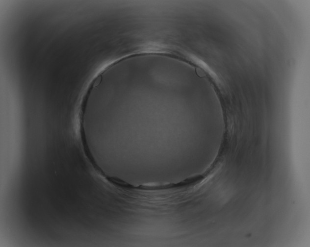 X0000101091463200806261441