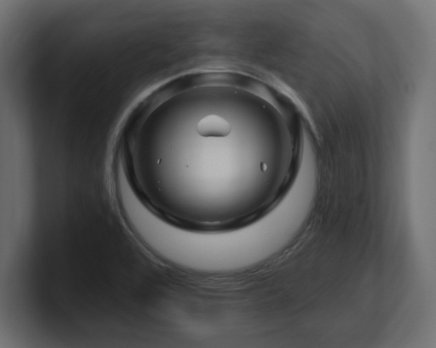 X0000101091464200806261441