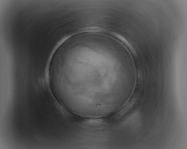 X0000101091466200806261441