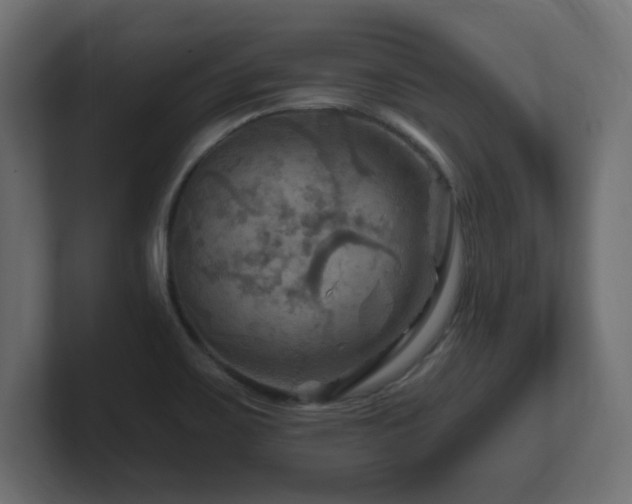 X0000101091467200806261441