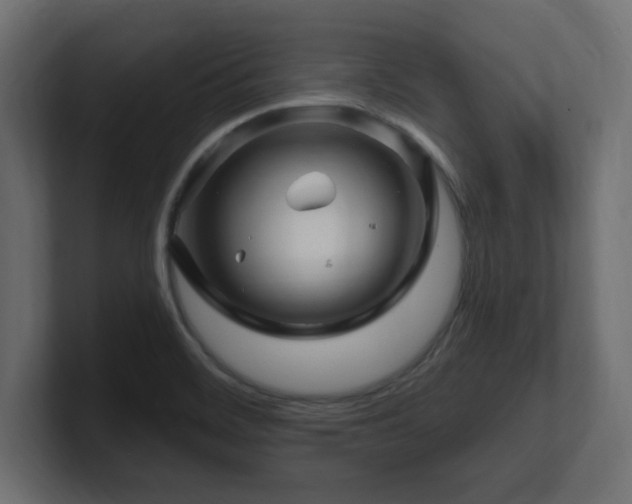 X0000101091468200806261441